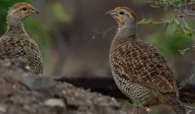 Photo by Sagar Paranjape on Unsplash