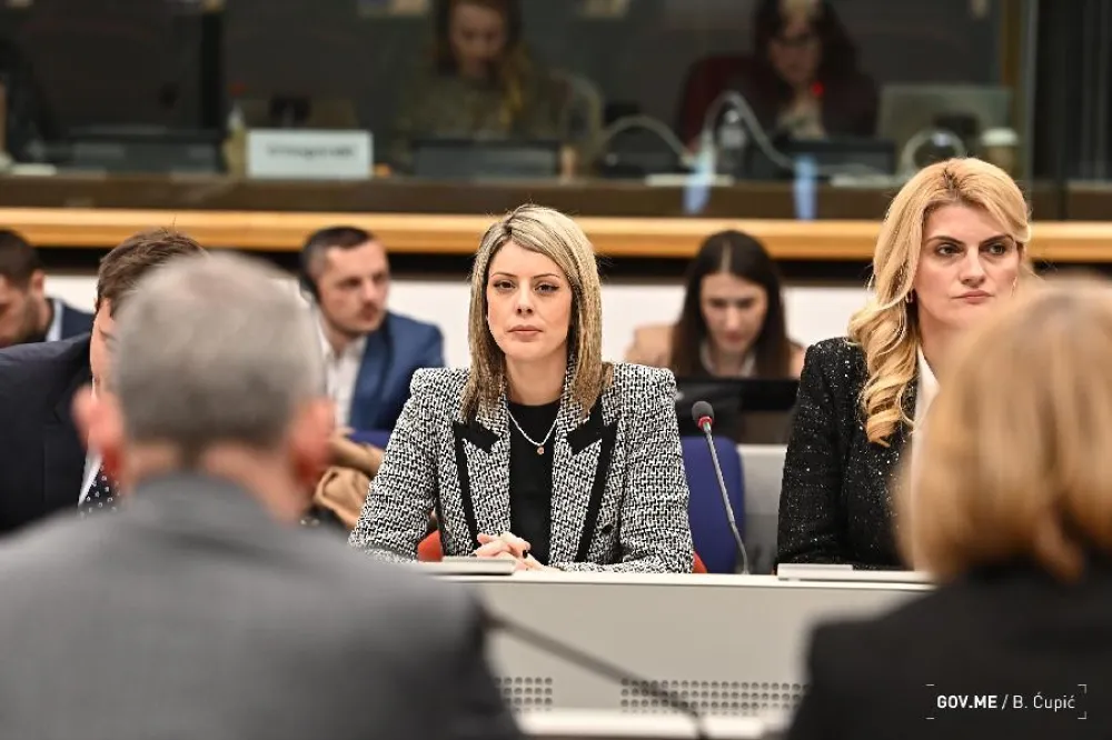Ana Novaković Đurović