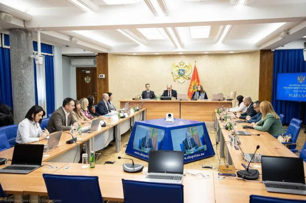 Odbor za zdravstvo, rad i socijalno staranje