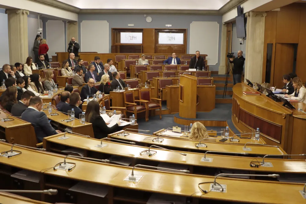 Sjednica ustavnog odbora, Ustavni odbor