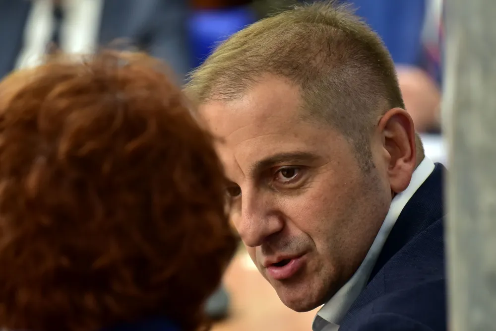 Odbor za ekonomiju, rebalans, Damir Sehovic