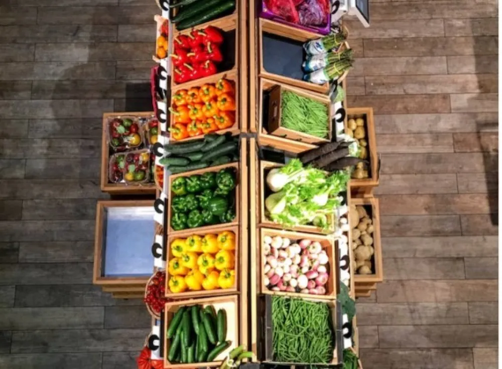 Unsplash, ilustracija