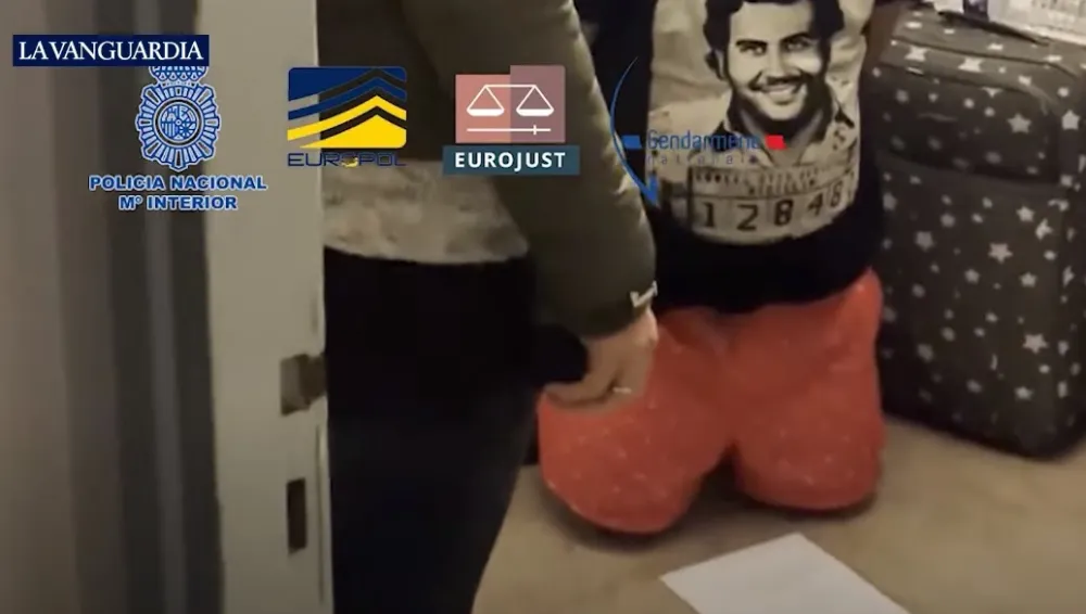 (VIDEO) Akcija Europola: Uhap&scaron;ena 31 osoba, članovi "putujuće" kriminalne grupe