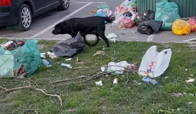 Neodgovorni građani odlažu smeće van kontejnera