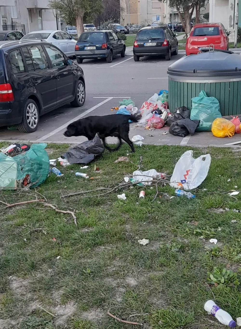 Neodgovorni građani odlažu smeće van kontejnera