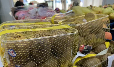 Na zelenoj pijaci u TC Forum kilogram kivija 1,5 eura