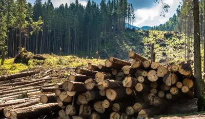 Пљевља имају највећи потенцијал