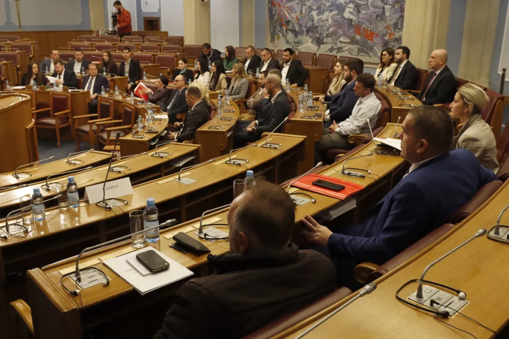 Sjednica ustavnog odbora, Ustavni odbor