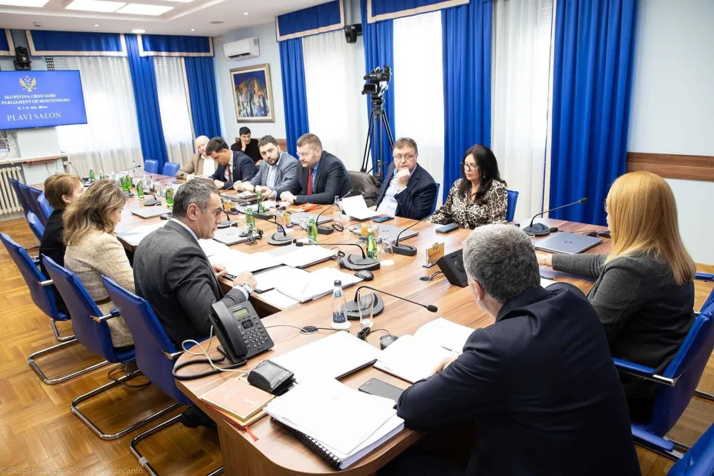 ZAKONODAVNI ODBOR, rasprava o budzetu, aleksandar damjanovic