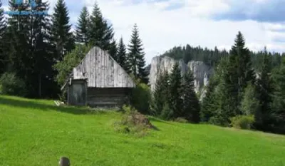 Livade u pljevaljskim selima zlatom plaćali, a sada ih prodati ne mogu