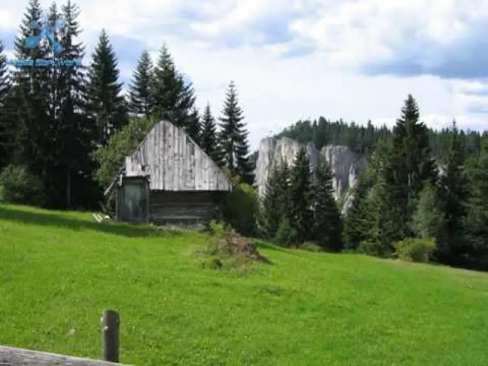 Livade u pljevaljskim selima zlatom plaćali, a sada ih prodati ne mogu