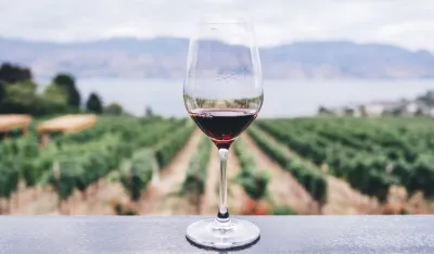 Vino, ilustracija