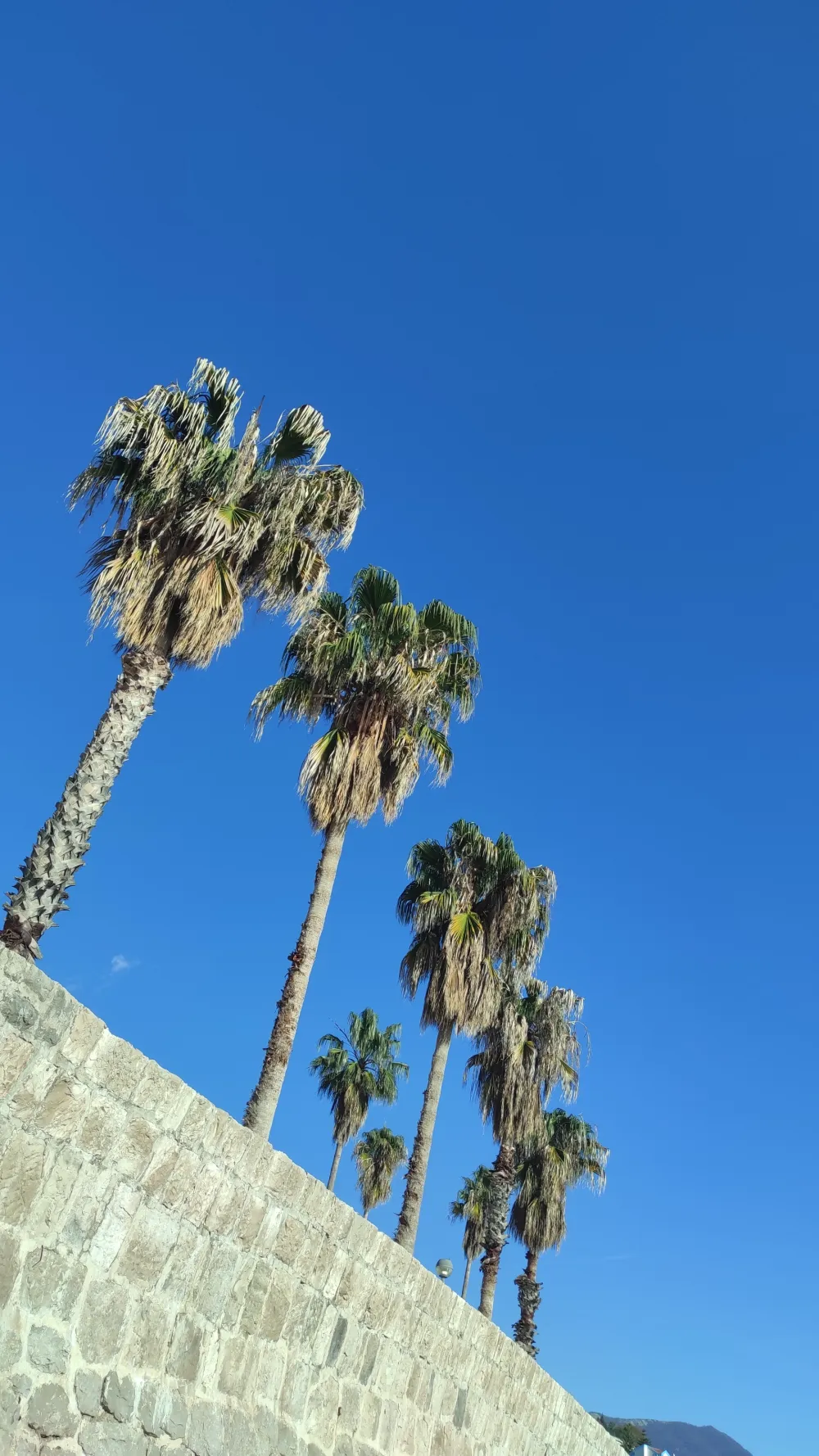 Pretežno sunčano, temperatura do 17 stepeni