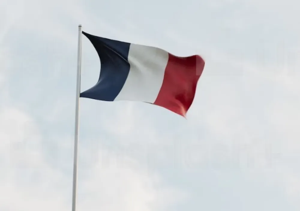 Unsplash, Francuska zastasva, ilustracija