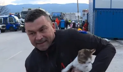 spasilac mačka