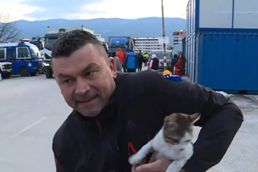 spasilac mačka