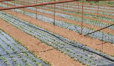 Nosioci poljoprivrednih gazdinstava da ažuriraju podatke