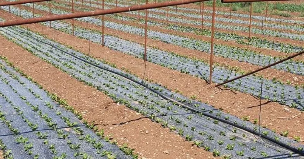 Nosioci poljoprivrednih gazdinstava da ažuriraju podatke