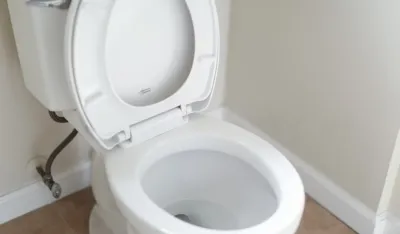 Kako da se rije&scaron;ite kamenca iz wc &scaron;olje