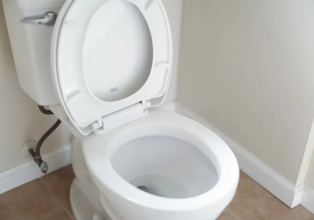 Kako da se rije&scaron;ite kamenca iz wc &scaron;olje