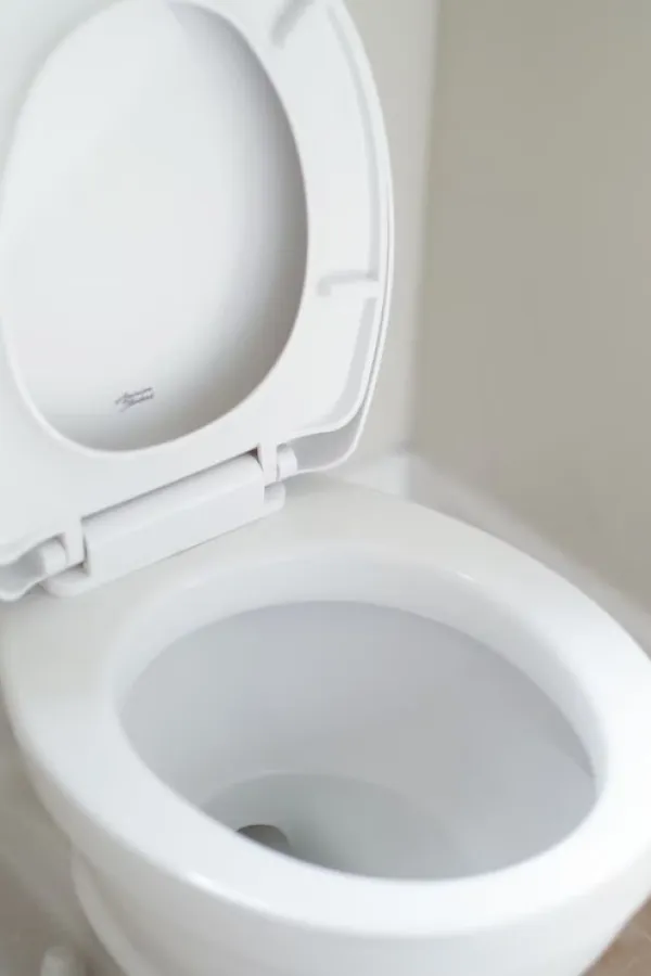 Kako da se rije&scaron;ite kamenca iz wc &scaron;olje