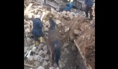 foto: Skrin&scaron;ot