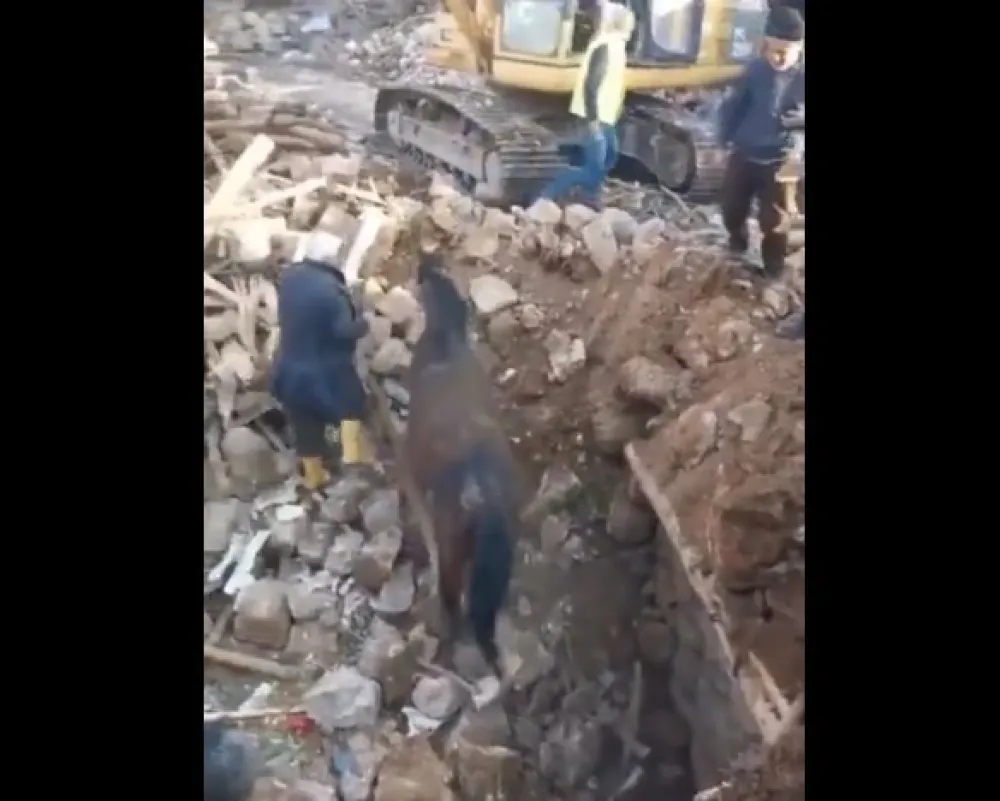 foto: Skrin&scaron;ot