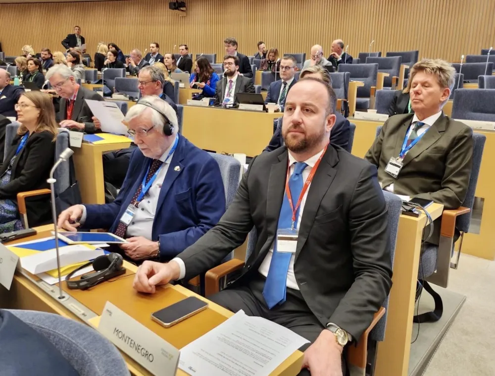 Andrija Nikolić u Stokholmu