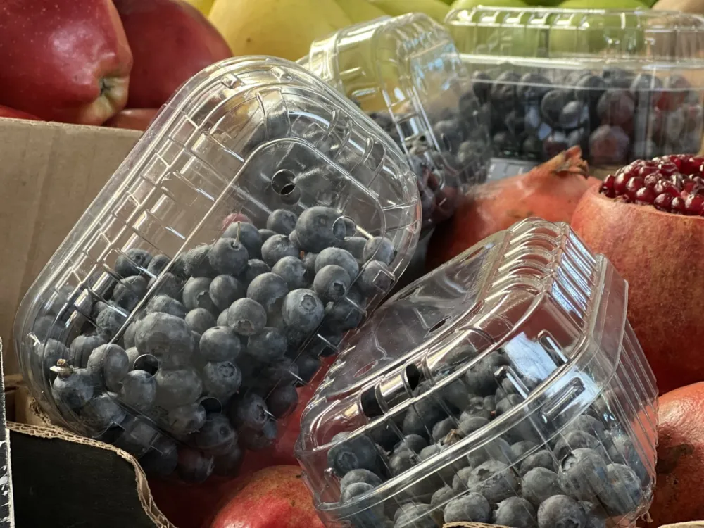 Na zelenoј piјaci u TC Ginta&scaron; kilogram borovnica 30 eura