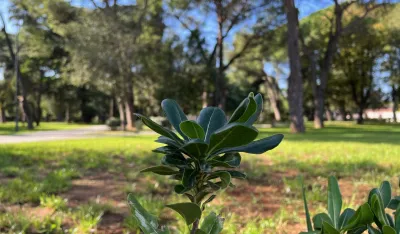 Njego&scaron;ev park lijepo vrijeme prognoza Podgorica