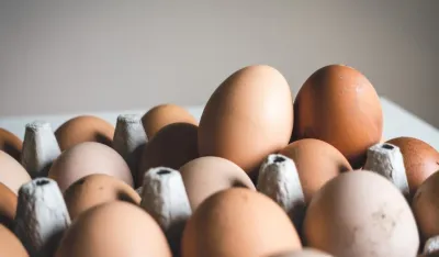 Unsplash - ilustracija<br>Jaja