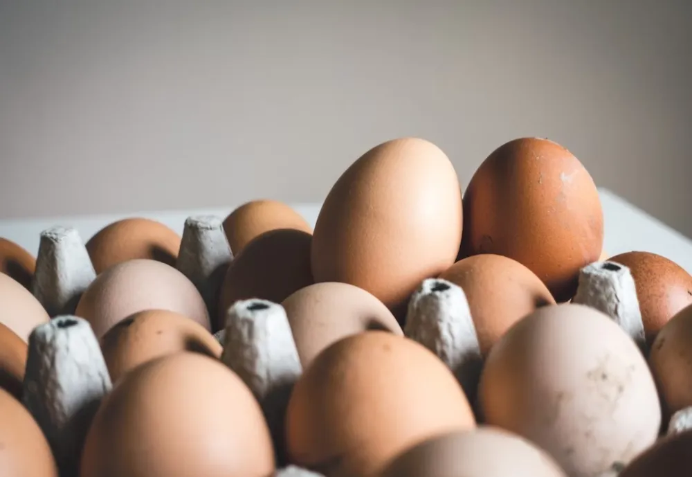 Unsplash - ilustracija<br>Jaja