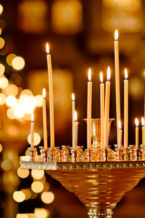 FOTO: DARIA DOBROVOLSKA/SHUTTERSTOCK