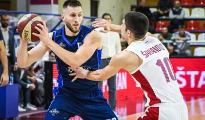 Матео Дрежњак