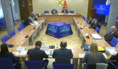 (VIDEO) Damjanović pred Odborom za ekonomiju