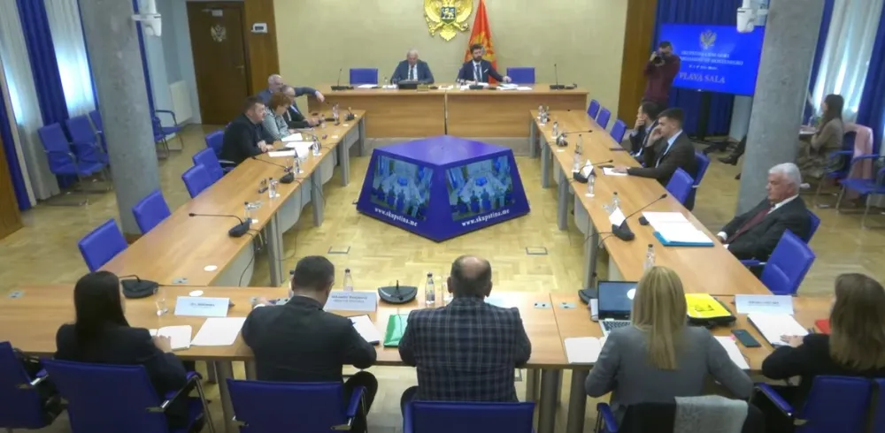 (VIDEO) Damjanović pred Odborom za ekonomiju