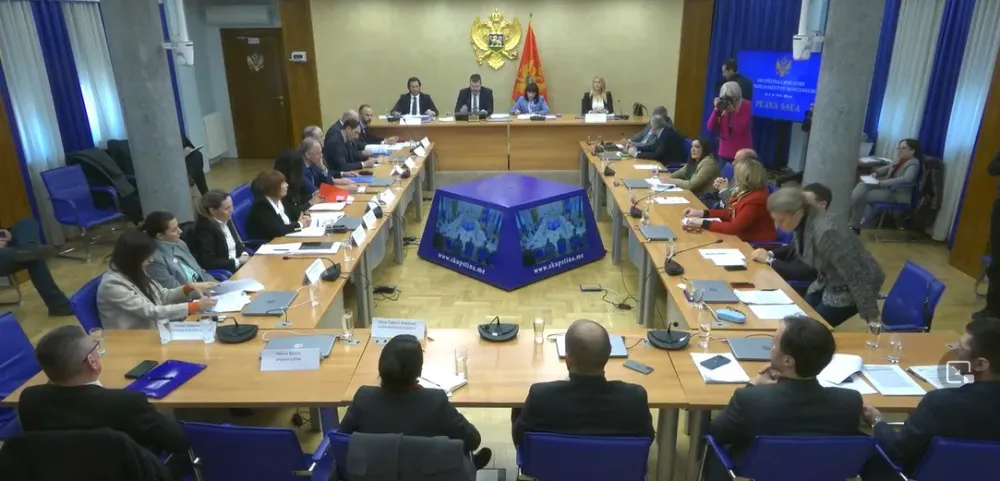 (VIDEO) Saslu&scaron;anje zbog ukidanja zabrane ulaska u Crnu Goru Veljku Belivuku 11. aprila