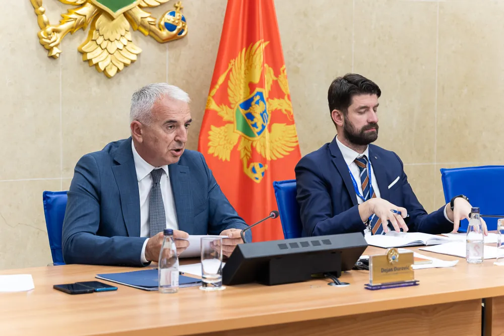 Odbor za ekonomiju, konsultativno saslusanje montenegro bonus, montenegro bonus