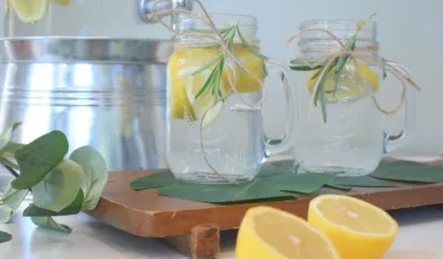 voda sa limunom