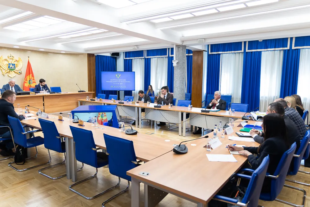 Odbor za ekonomiju, konsultativno saslusanje montenegro bonus, montenegro bonus