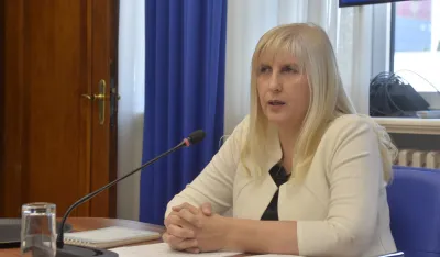 sjednica ustavnog odbora, ustavni odbor, Snezana Jonica