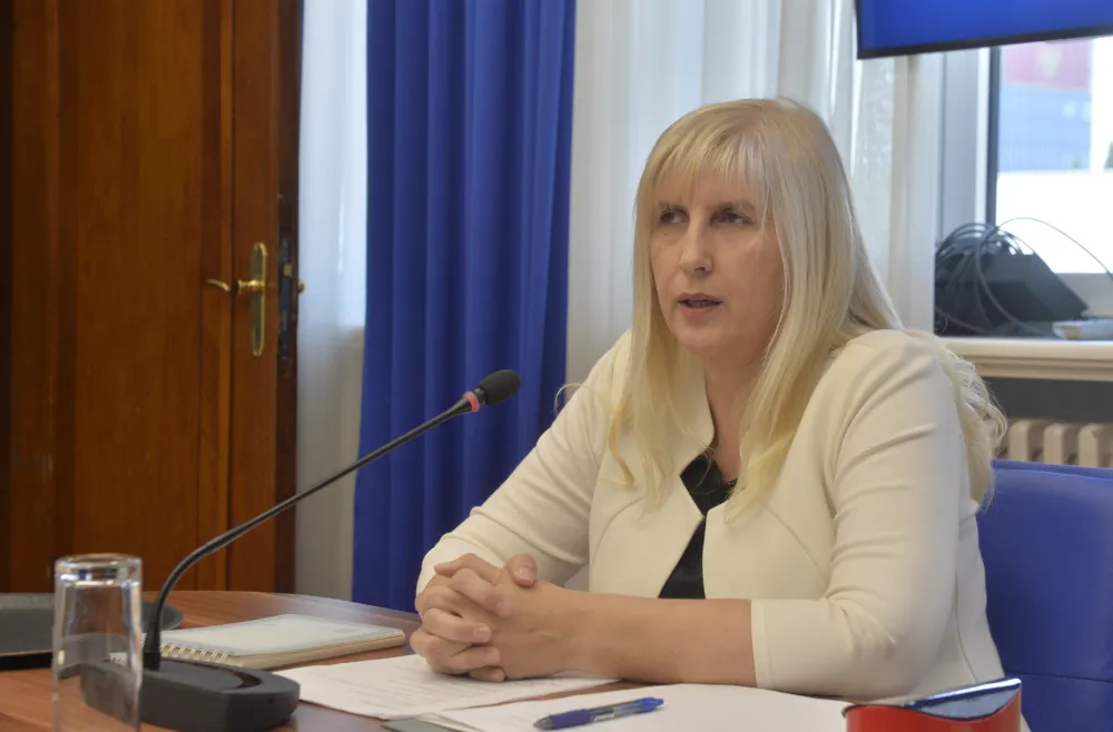 sjednica ustavnog odbora, ustavni odbor, Snezana Jonica