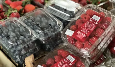 Svi pitaju za cijenu, niko ne kupuje: Kilogram malina 24 eura
