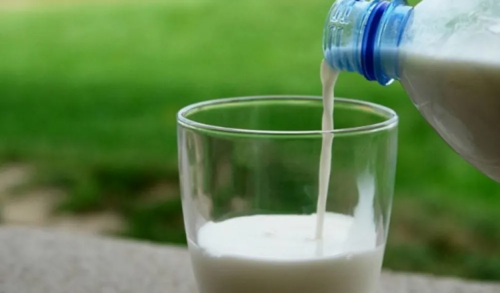 mlijeko, milk