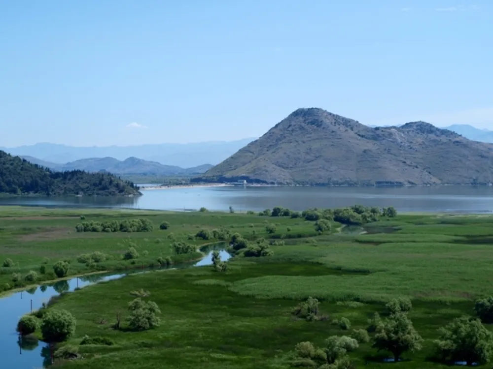 Скадарско језеро