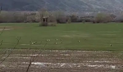 Skrin&scaron;ot, CZIP facebook<br>