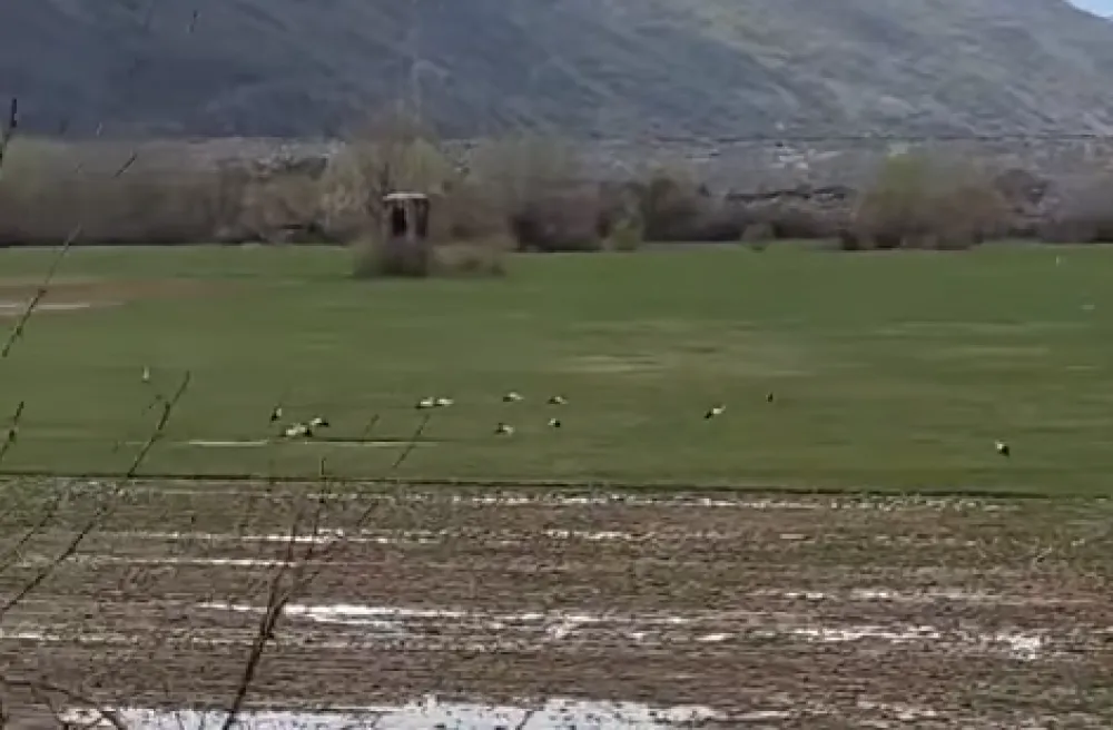 Skrin&scaron;ot, CZIP facebook<br>