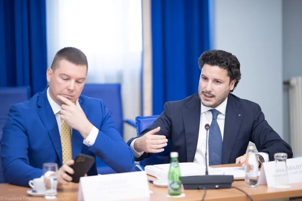 Odbor za bezbjednost, odbor za bezbjednost nastavak 35 sjednice