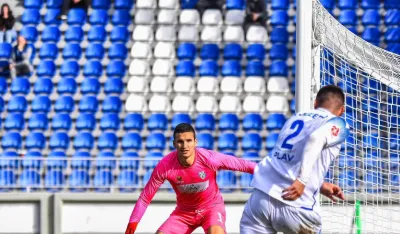 Igor Nikić