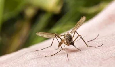 Илустрација слика